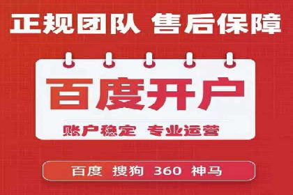 百度竞价广告投放全解析：成功案例揭秘